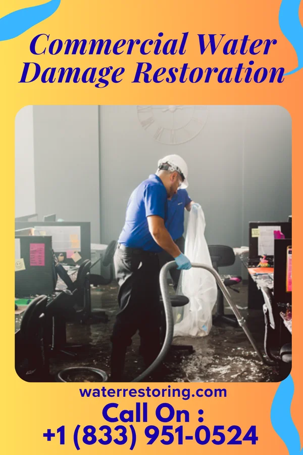 Commercial Water Damage Restoration in Jasmine Estates, FL